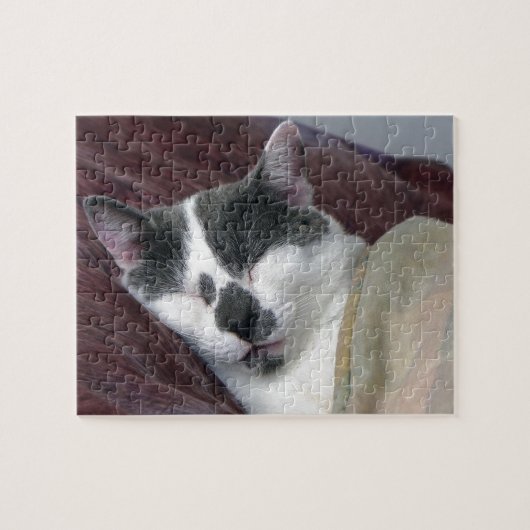 Cat Napping Puzzle (Horizontal)