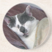Cat Napping Sandstein Untersetzer (Vorne)