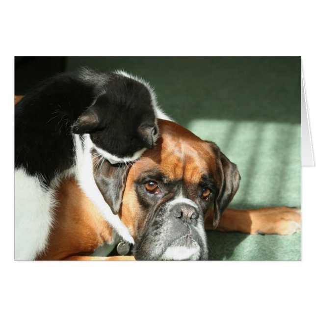 Cat Necklace (Vorderseite (Horizontal))