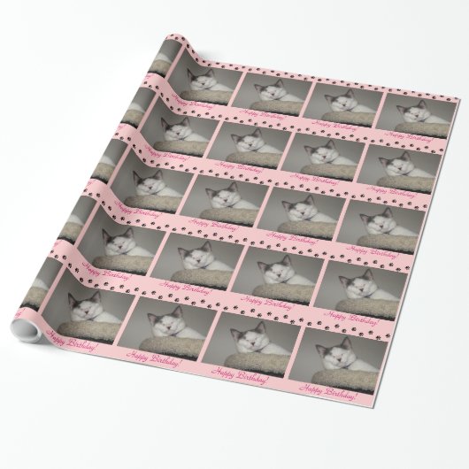 Cat Nickerchen Birthday und Paw Prints Geschenkpapier (Ungerollt)