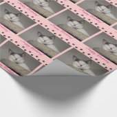 Cat Nickerchen Birthday und Paw Prints Geschenkpapier (Ecke)