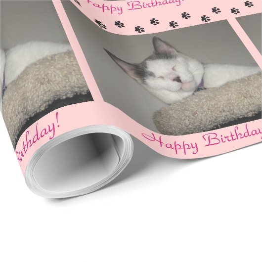 Cat Nickerchen Birthday und Paw Prints Geschenkpapier (Rolleneckpunkt)