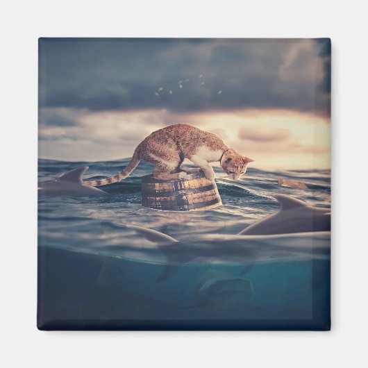 Cat Nickerchen Dream oder Nightmare Magnet (Vorne)