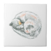 Cat Nickerchen Fliese (Vorderseite)