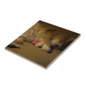 Cat Nickerchen Fliese (Seite)