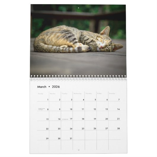 Cat Nickerchen Foto Wall Calendar Kalender (Mär 2026)