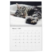 Cat Nickerchen Foto Wall Calendar Kalender (Feb 2027)
