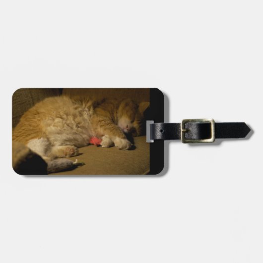 Cat Nickerchen Gepäckanhänger (Vorderseite horizontal)