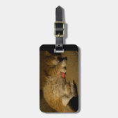 Cat Nickerchen Gepäckanhänger (Vorderseite vertikal)