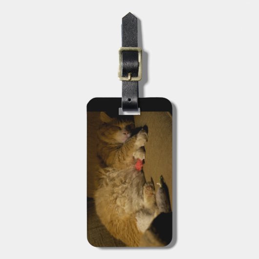 Cat Nickerchen Gepäckanhänger (Vorderseite vertikal)