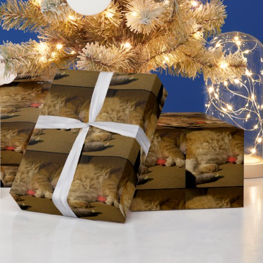 Cat Nickerchen Geschenkpapier (Feiertage)