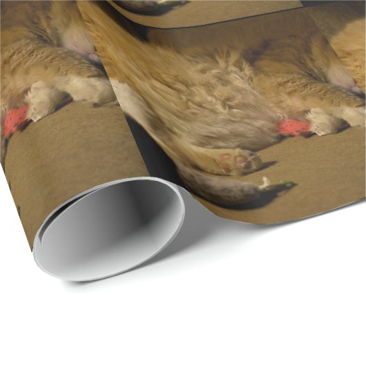 Cat Nickerchen Geschenkpapier (Rolleneckpunkt)