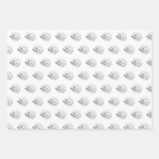 Cat Nickerchen Geschenkpapier Set (Vorderseite)