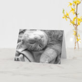 Cat Nickerchen Grußkarten Karte (Gelbe Blume)