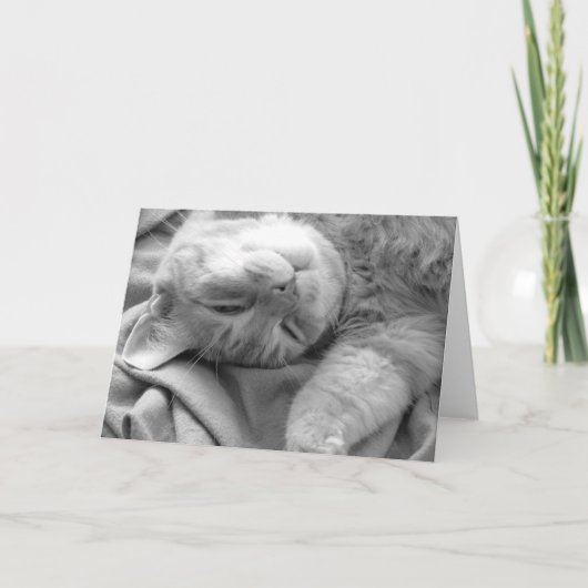 Cat Nickerchen Grußkarten Karte (Vorderseite)