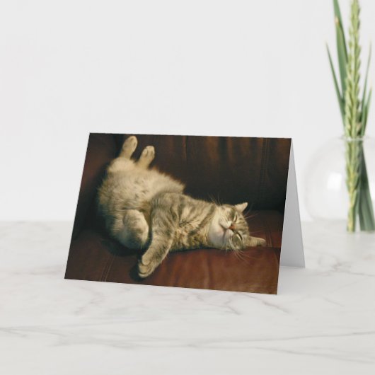 Cat Nickerchen - im Extrem Karte (Vorderseite)