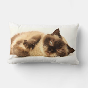 Cat Nickerchen Lendenkissen