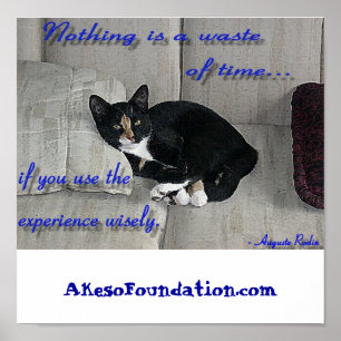 Cat-Nickerchen Poster