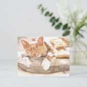 Cat Nickerchen Postkarte (Stehend Vorderseite)