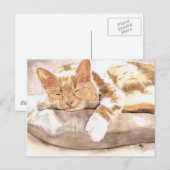 Cat Nickerchen Postkarte (Vorne/Hinten)