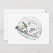 Cat Nickerchen Postkarte (Vorne/Hinten)