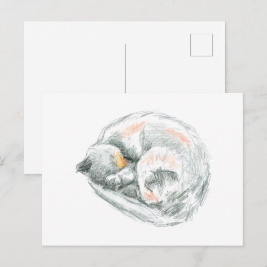 Cat Nickerchen Postkarte (Vorne/Hinten)