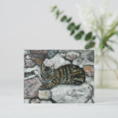 Cat Nickerchen Postkarte (Stehend Vorderseite)