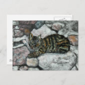 Cat Nickerchen Postkarte (Vorne/Hinten)