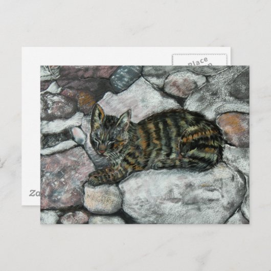 Cat Nickerchen Postkarte (Vorne/Hinten)