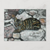 Cat Nickerchen Postkarte (Vorderseite)