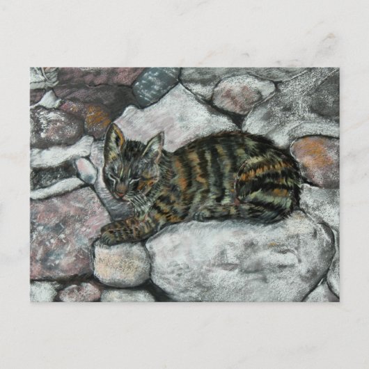 Cat Nickerchen Postkarte (Vorderseite)