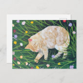 Cat Nickerchen Postkarte (Vorne/Hinten)
