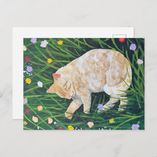 Cat Nickerchen Postkarte (Vorne/Hinten)