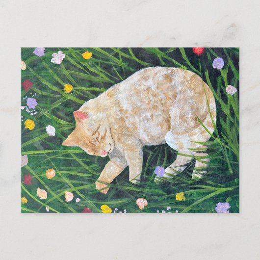 Cat Nickerchen Postkarte (Vorderseite)