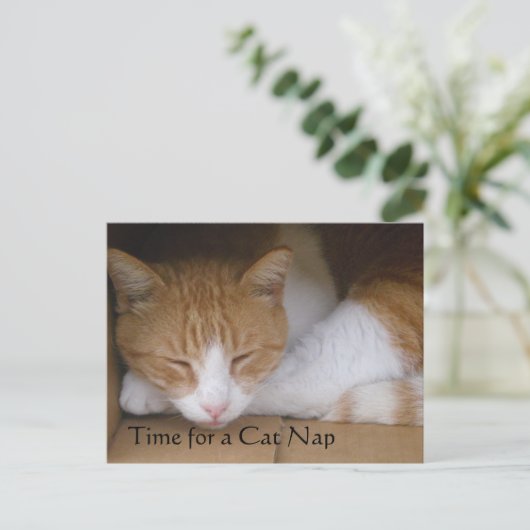 Cat Nickerchen Postkarte (Stehend Vorderseite)