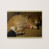Cat Nickerchen Puzzle (Horizontal)