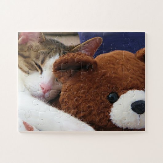 Cat Nickerchen Teddy Puzzle (Horizontal)