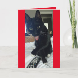 Cat nimmt abgelegen für Valentinstag lustig Feiertagskarte