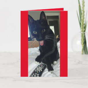 Cat nimmt abgelegen für Valentinstag lustig Feiertagskarte