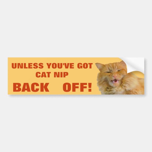 Cat Nip Leckereien oder Back Off Grumpy Kitty Autoaufkleber (Vorne)
