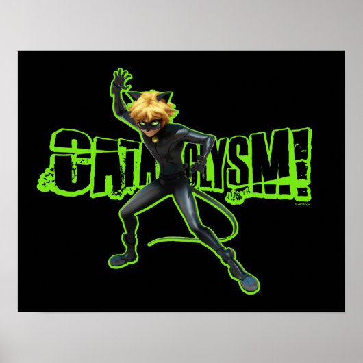 Cat Noir | Katastrophe Poster (Vorne)