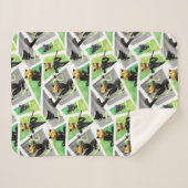 Cat Noir & Plagg Muster Sherpadecke (Vorderseite (Horizontal))