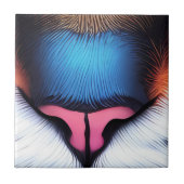 Cat Nose Tiles Keramik Tile Set Fliese (Vorderseite)