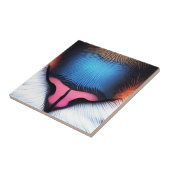 Cat Nose Tiles Keramik Tile Set Fliese (Seite)