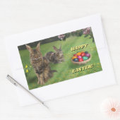 Cat Oaster Bunnies Sticker 🐰 😸 (Umschlag)