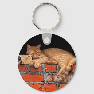 Cat on Brick Wall Keychain Schlüsselanhänger