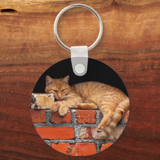 Cat on Brick Wall Schlüsselanhänger (Vorderseite)