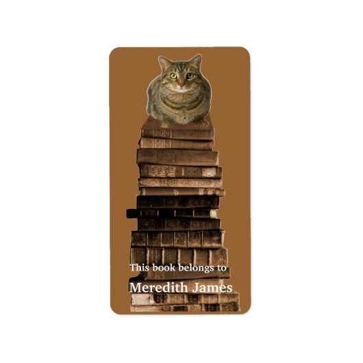 Cat on Stack of Books Buchzeichen Adressaufkleber (Vorne)