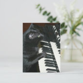 Cat Organ Erwägungsgrund Postkarte (Stehend Vorderseite)