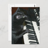 Cat Organ Erwägungsgrund Postkarte (Vorne/Hinten)